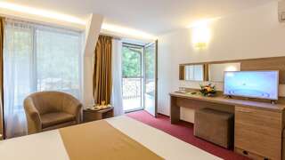 Отель Hotel Herastrau Бухарест Двухместный номер/номер Твин бизнес-класса с балконом-2