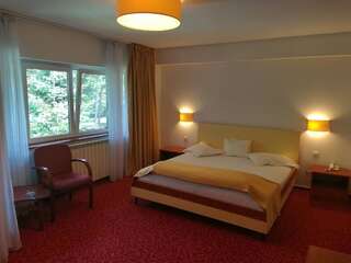 Отель Hotel Herastrau Бухарест Улучшенный двухместный номер с 1 кроватью или 2 отдельными кроватями, вид на парк-1