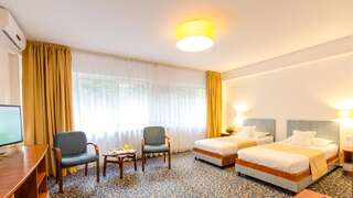 Отель Hotel Herastrau Бухарест Улучшенный двухместный номер с 1 кроватью или 2 отдельными кроватями, вид на парк-2