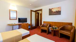 Отель Hotel Herastrau Бухарест Двухместный номер эконом-класса с 2 отдельными кроватями-1