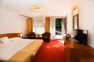 Отель Hotel Herastrau Бухарест Стандартный двухместный номер с 1 кроватью или 2 отдельными кроватями-2