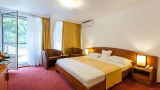 Отель Hotel Herastrau Бухарест Стандартный двухместный номер с 1 кроватью или 2 отдельными кроватями-7